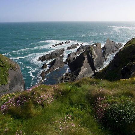 Galley Head Lightkeeper'S Houses Donoure Exteriör bild