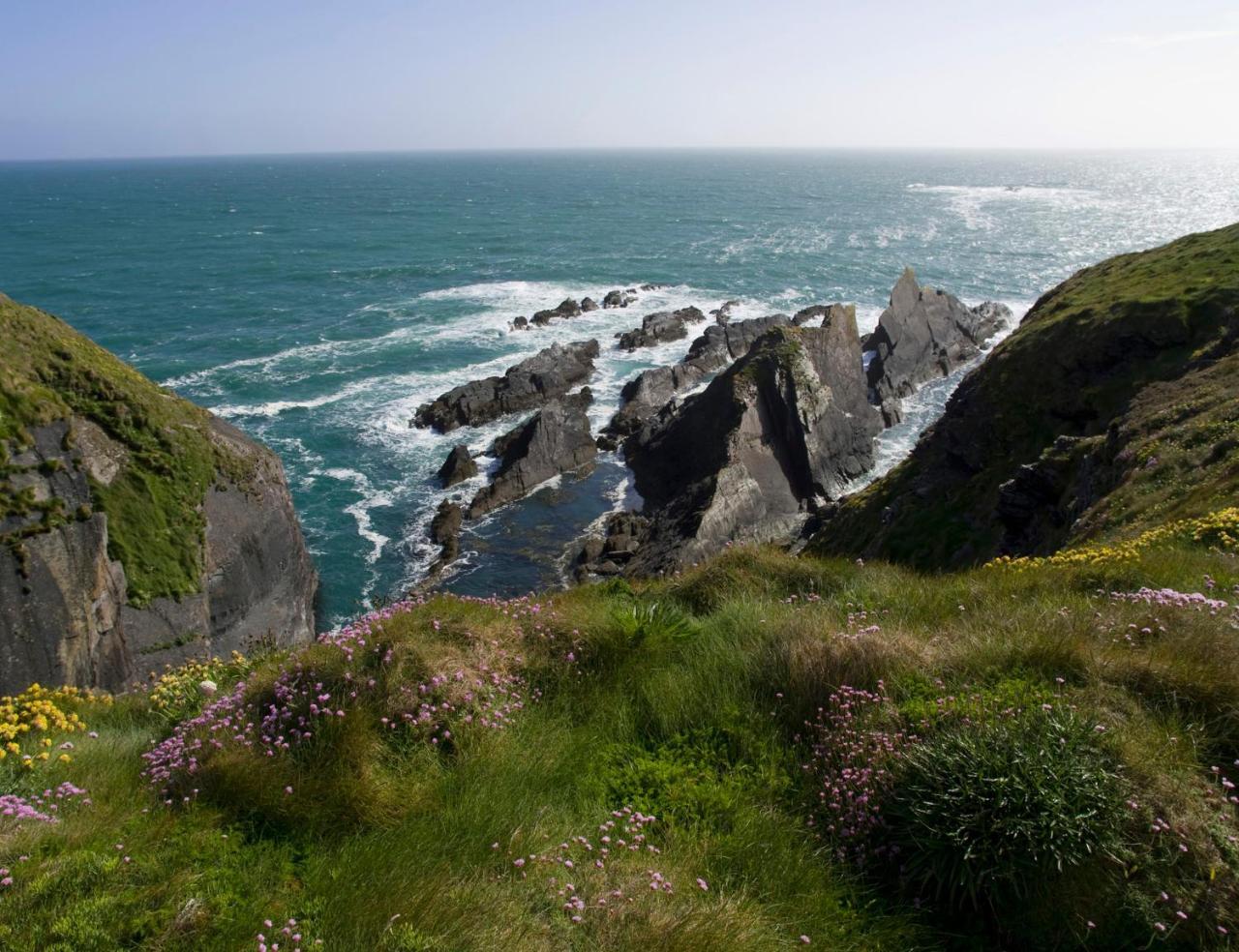 Galley Head Lightkeeper'S Houses Donoure Exteriör bild